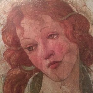 Meet your Posher, Shirley